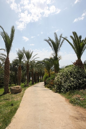 Gallery - Ascos Coral Beach Hotel