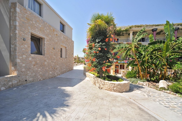 Gallery - Apollon Kos