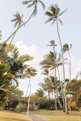 Gallery - Plantation Hale Suites