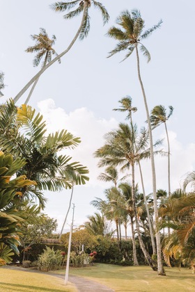 Gallery - Plantation Hale Suites