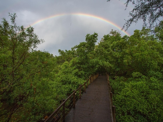 Gallery - Madikwe River Lodge