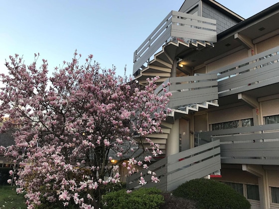 Gallery - Campanile Nature - Cergy Pontoise
