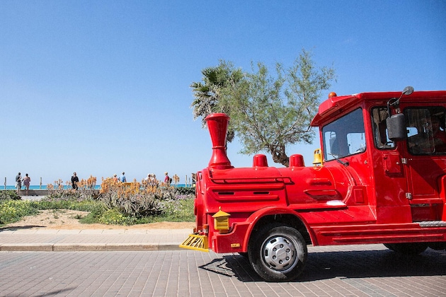 Gallery - Hotel Playa Sol