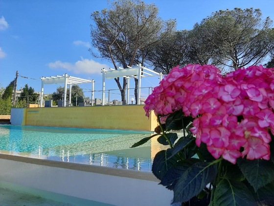Gallery - Orto Di Roma