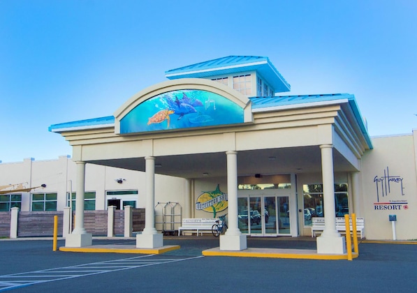 Gallery - Guy Harvey Resort On St Augustine Beach