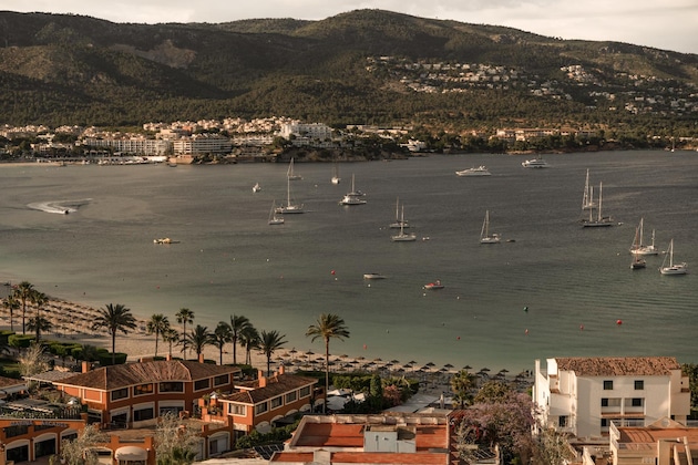 Gallery - Cook's Club Calvia Beach - Adults Only +21