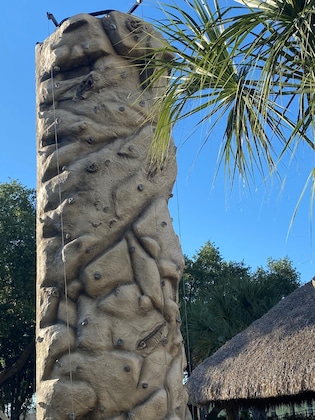 Gallery - Springhill Suites By Marriott Orlando Lake Buena Vista South