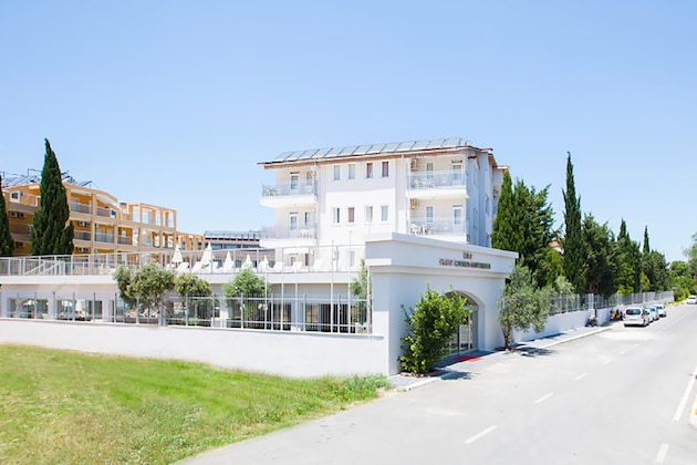 Gallery - Catty Cats Garden Hotel