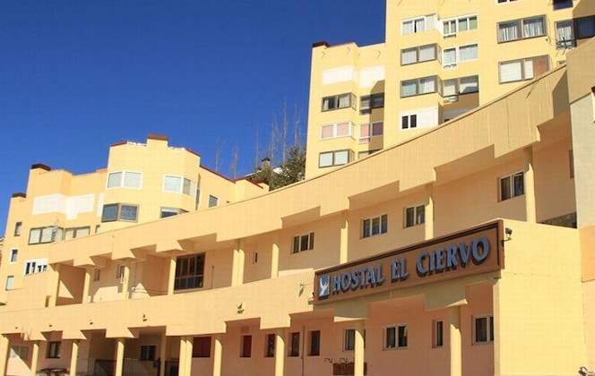 Gallery - El Ciervo