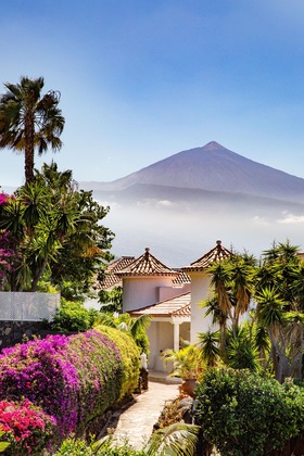 Gallery - Jardin De La Paz