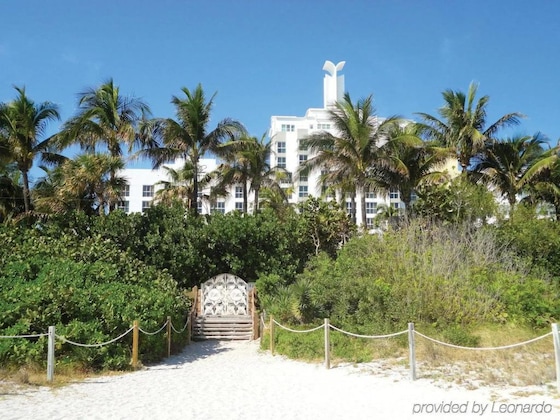 Gallery - The Palms Hotel & Spa