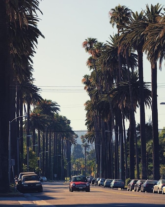 Gallery - Loews Hollywood Hotel