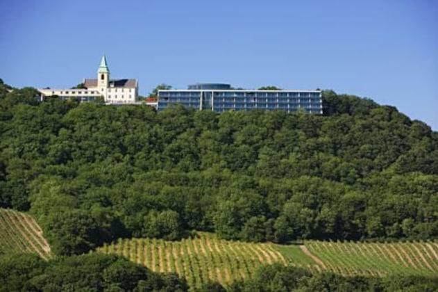 Gallery - Suitehotel Kahlenberg
