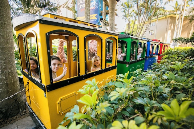 Gallery - Paradise Resort Gold Coast