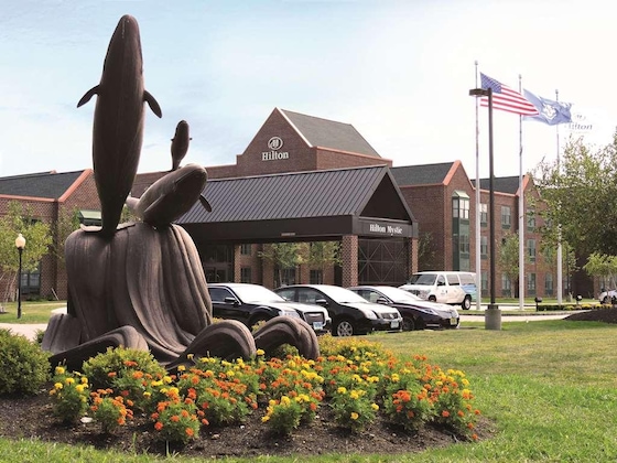 Gallery - Hilton Mystic