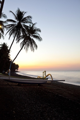 Gallery - The Damai