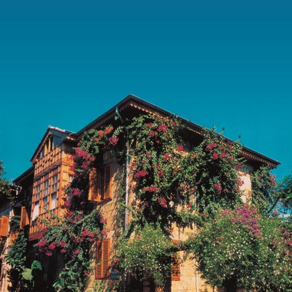 Gallery - Begonville Pansiyon