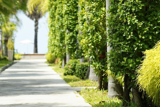 Gallery - Beach Boutique Resort