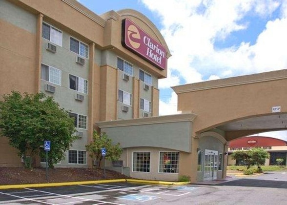 Gallery - Clarion Renton