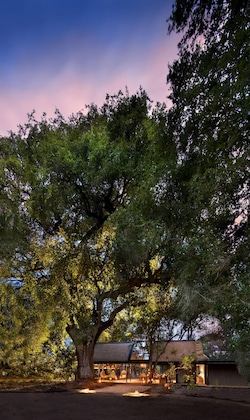 Gallery - Lion Sands River Lodge