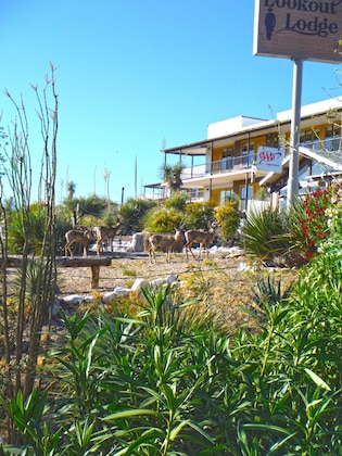 Gallery - Landmark Lookout Lodge
