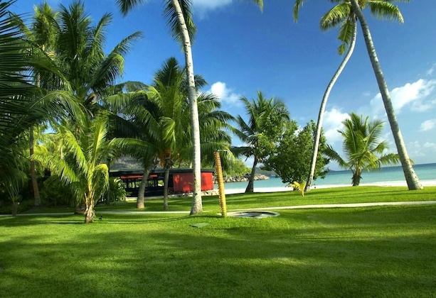 Gallery - Paradise Sun