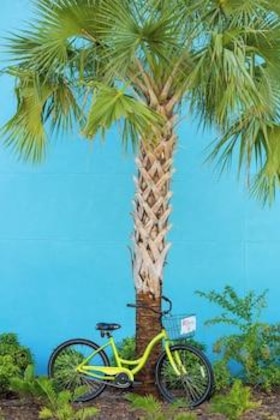 Gallery - Holiday Inn Key Wester