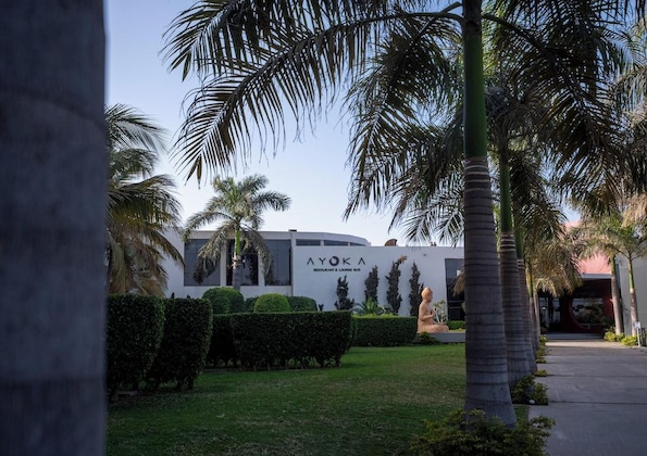 Gallery - Noom Hotel Dakar Sea Plaza, a member of Radisson Individuals