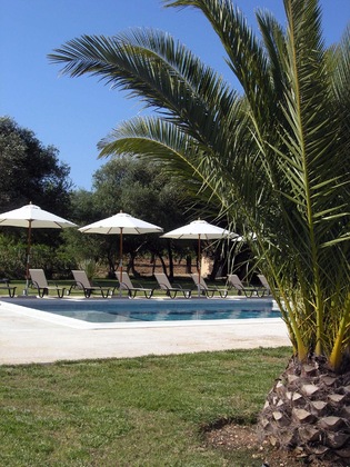 Gallery - Agroturismo Son Olive