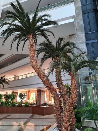 Gallery - Saphir Resort & Spa