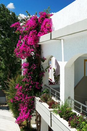 Gallery - Apollon Hotel Apartments