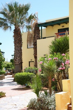 Gallery - Kaissa Beach