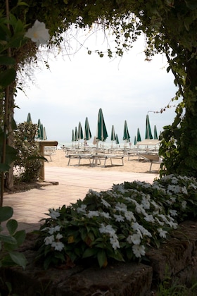 Gallery - Hotel Vina Del Mar Pineta