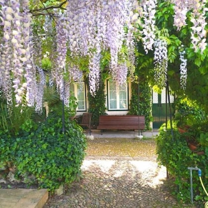 Gallery - Casa Do Foral