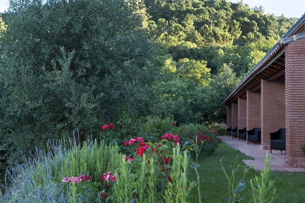 Gallery - Finca La Fronda