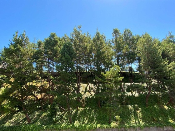 Gallery - Best Western Plus Agate Beach Inn