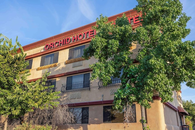 Gallery - Best Western Plus Orchid Hotel & Suites