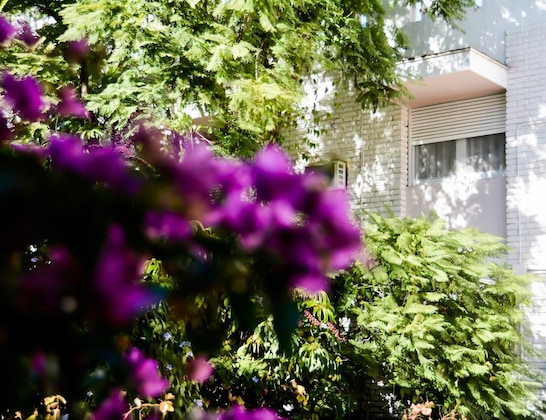 Gallery - Hotel Nutibara