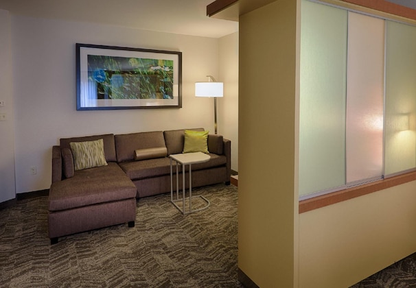 Gallery - Springhill Suites By Marriott Albany-Colonie