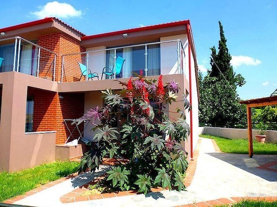 Gallery - Village Mare