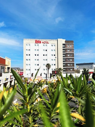 Gallery - Ibis Chihuahua