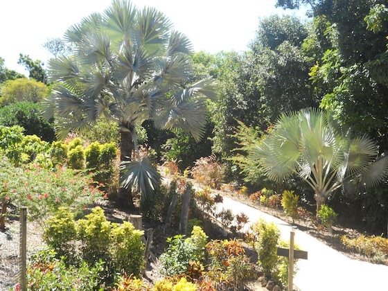 Gallery - Licuala Lodge