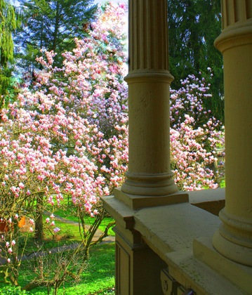 Gallery - Villa Hammerschmiede Hotel & Restaurant