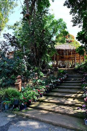 Gallery - Phu Chaisai Chiang Rai Mountain Resort