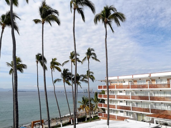 Gallery - Rosita Hotel Puerto Vallarta