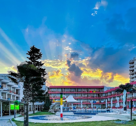 Gallery - Flamingo Beach Hotel
