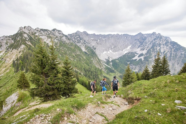 Gallery - Das Walchsee Resort