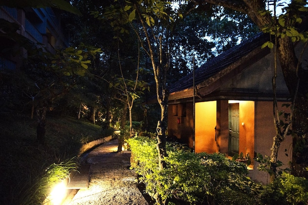Gallery - Abad Green Forest