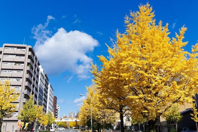 Gallery - Kyoto City Hotel