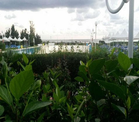 Gallery - Bizerta Resort